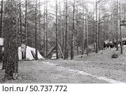 Летний палаточный лагерь в сосновом лесу. Стоковое фото, фотограф Retro / Фотобанк Лори