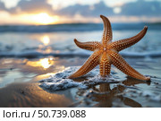 Starfish resting on the beach at sunset with ocean waves. Стоковое AI-изображение, AI-художник Иван Рябоконь / Фотобанк Лори