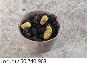 Ripe sweet juicy black and white mullberry. Стоковое фото, фотограф Андрей Старостин / Фотобанк Лори