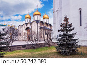 Успенский собор, Московский Кремль, Москва (2014 год). Стоковое фото, фотограф Baturina Yuliya / Фотобанк Лори