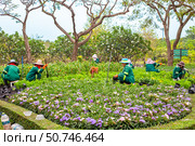 Gardeners tend to a colorful flowerbed in a lush park, among trees and winding paths.Thailand, Bangkok, Chatuchak Park (2024 год). Редакционное фото, фотограф Коханова Наталья / Фотобанк Лори