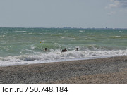 Люди купаются в штормящем Черном море в высоких волнах. Редакционное фото, фотограф Snezka / Фотобанк Лори