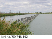 Солёное озеро в Крыму (Сакский район) Стоковое фото, фотограф Snezka / Фотобанк Лори