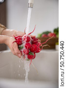 Close up view of a woman washes a bunch of red radishes under the pressure of flowing water in the white kitchen, a basket with tomato, broccoli and onions in the background, grapes. Стоковое фото, фотограф Vladimir Drozdin / Фотобанк Лори