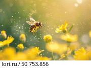 Honey bee flying and pollinating yellow flowers in summer meadow. Стоковое AI-изображение, AI-художник Иван Рябоконь / Фотобанк Лори