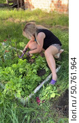 A woman weeds garden beds. Loosens soil with a garden hoe and pulls out weeds. vertical video. Стоковое видео, видеограф Vadzim Yakubovich / Фотобанк Лори
