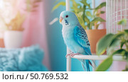 Pastel Blue Budgie Perched on a Shelf in a Softly Lit Room. Стоковое AI-изображение, AI-художник Данила Большаков / Фотобанк Лори