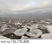 Дрейфующие ледяные поля на замерзающем море. Стоковое фото, фотограф Дмитрий Шадричев / Фотобанк Лори