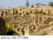 Ruins of house of Hannibal at the excavations of Carthage. Стоковое фото, фотограф Яков Филимонов / Фотобанк Лори