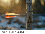 Red feather arrow aiming at target on traditional wooden bow in winter sunset. Стоковое AI-изображение, AI-художник Иван Рябоконь / Фотобанк Лори