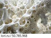 White porous organic structure creating intricate network of holes and cavities. Стоковое AI-изображение, AI-художник Иван Рябоконь / Фотобанк Лори