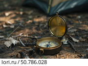 Vintage brass compass on forest ground. Стоковое AI-изображение, AI-художник Иван Рябоконь / Фотобанк Лори