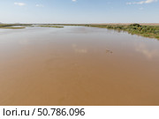 Amu Darya River flows peacefully near Kipchak village in Karakalpakstan Uzbekistan (2024 год). Стоковое фото, фотограф Михаил Пряхин / Фотобанк Лори