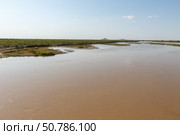 Serenity of the Amu Darya River near Kipchak village in Karakalpakstan, Uzbekistan (2024 год). Стоковое фото, фотограф Михаил Пряхин / Фотобанк Лори