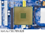 Процессор на материнской плате. Central Processing Unit CPU on the motherboard. Стоковое фото, фотограф Татьяна Д / Фотобанк Лори