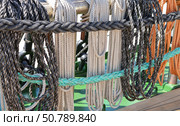 Свернутые корабельные канаты развешанные на палубе парусника. Coiled ship's ropes hung on the deck of a sailing ship. Стоковое фото, фотограф Татьяна Д / Фотобанк Лори