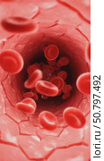Red blood cells flowing through blood vessel in human body. Стоковое AI-видео, аниматор KATERINA AI / Фотобанк Лори