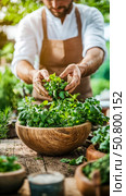 Herbalist's Repotting: A Gardener Carefully Tends Herbs in Wooden Bowls for New Season, A Rustic Scene with Greenery & Earthy Touch. Стоковое AI-изображение, AI-художник Данила Большаков / Фотобанк Лори