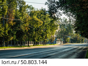 Городской парк вдоль улицы ранним утром (улица Белинского, Нижний Новгород) Редакционное фото, фотограф Илья Старков / Фотобанк Лори