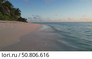 Serene beach with soft waves and palm trees under clear sky. Стоковое AI-видео, аниматор Андрей Бажанов / Фотобанк Лори