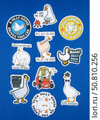 Novosibirsk, Russia - May 30, 2025: Vinyl stickers featuring humorous and viral goose memes in a fun and playful style. These designs showcase funny goose illustrations, meme captions, exaggerated expressions. Редакционное фото, фотограф Виталий Сова / Фотобанк Лори