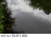 Мотыльки кружат над тёмной водой перед дождём, круги на воде. Стоковое фото, фотограф Андрей Цыганков / Фотобанк Лори