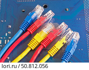Разноцветные сетевые кабели. Network Ethernet Cables. Стоковое фото, фотограф Татьяна Д / Фотобанк Лори