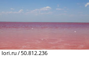 Vast expanse of vibrant pink water under a clear blue sky, with gentle waves creating ripples, showcasing the unique beauty of this surreal natural landscape. Sasyk-Sivash Lake. Стоковое видео, видеограф Ирина Ручушкина / Фотобанк Лори