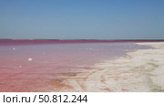 Vast expanse of vibrant pink water under a clear blue sky, with gentle waves creating ripples, showcasing the unique beauty of this surreal natural landscape. Sasyk-Sivash Lake. Стоковое видео, видеограф Ирина Ручушкина / Фотобанк Лори