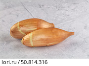 Ripe shallot onion for cooking. Стоковое фото, фотограф Андрей Старостин / Фотобанк Лори