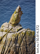 Irish Lady Rock, the granite rocky outcrop in the sea at Sennen Cove. Cornwall. England. UK (2009 год). Стоковое фото, фотограф Сергей Пристяжнюк (Serg Zastavkin) / Фотобанк Лори