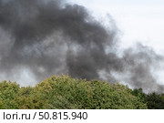 Black smoke behind trees. forest fire concept. Стоковое фото, фотограф Антон Вахрушев / Фотобанк Лори