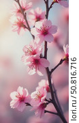 Serene Cherry Blossom Branch in Bloom. Стоковое AI-видео, аниматор Sergey Grishin / Фотобанк Лори