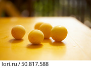 Several golden fruits of the Russian plum "Scythian Gold" on a yellow table surface. Стоковое фото, фотограф Роман Дзюбало / Фотобанк Лори