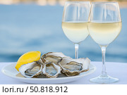 A Delightful Plate of Fresh Oysters Accompanied by Crisp White Wine and a Zesty Lemon Wedge, Perfect for Enjoying by the Ocean. Стоковое AI-изображение, AI-художник Башкирова Анна / Фотобанк Лори