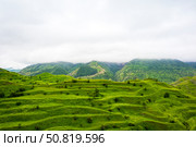 Старинные поля-терассы. Туман. Окрестности села Чох, Дагестан. Стоковое фото, фотограф Александр Тараканов / Фотобанк Лори