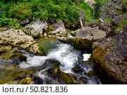Ущелье реки Курджипс, Адыгея. Стоковое фото, фотограф Оглоблин Андрей Николаевич / Фотобанк Лори