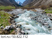 Ala-Archa Park, Rushing Whitewater river winds through rugged mountain landscape bordered by grassy meadows, rocky banks, distant pine forest, and towering snowy summits under clear blue sky. Стоковое фото, фотограф Андрей Ка / Фотобанк Лори