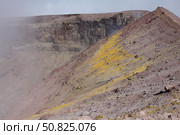 Degassing North crater with fumarolic sulphur deposits. Mount Etna volcano, Sicily, Italy (2011 год). Стоковое фото, фотограф Richard Roscoe/Stocktrek Images / ТАСС / Фотобанк Лори