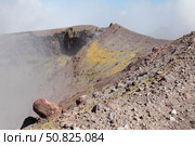 Degassing North crater with fumarolic sulphur deposits. Mount Etna volcano, Sicily, Italy (2011 год). Стоковое фото, фотограф Richard Roscoe/Stocktrek Images / ТАСС / Фотобанк Лори