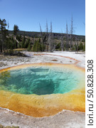 Morning Glory Pool Hot Spring, Upper Geyser Basin geothermal area, Yellowstone National Park (2011 год). Стоковое фото, фотограф Richard Roscoe/Stocktrek Images / ТАСС / Фотобанк Лори