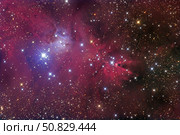 The Cone Nebula Roth Ritter/Stocktrek Images. Стоковое фото, агентство ТАСС / Фотобанк Лори