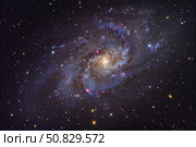 The Triangulum Galaxy Roth Ritter/Stocktrek Images. Стоковое фото, агентство ТАСС / Фотобанк Лори