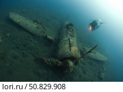 Diver explores the wreck of a WWII Japanese Zero fighter plane. Стоковое фото, фотограф Steve Jones/Stocktrek Images / ТАСС / Фотобанк Лори