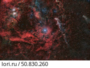 Rigel, a blue supergiant star, surrounded by a region of nebulosity, with IC 2118 to the right. Стоковое фото, фотограф Reinhold Wittich/Stocktrek Images / ТАСС / Фотобанк Лори