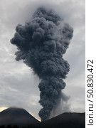 Ash cloud rising from Tompaluan crater at Lokon-Empung volcano, Indonesia. Стоковое фото, фотограф Richard Roscoe/Stocktrek Images / ТАСС / Фотобанк Лори