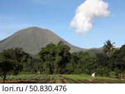 Agriculture near Kinilow town at foot of Lokon-Empung volcano, Indonesia. Стоковое фото, фотограф Richard Roscoe/Stocktrek Images / ТАСС / Фотобанк Лори