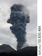 Ash cloud rising from Tompaluan crater at Lokon-Empung volcano, Indonesia. Стоковое фото, фотограф Richard Roscoe/Stocktrek Images / ТАСС / Фотобанк Лори