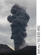 Ash cloud rising from Tompaluan crater at Lokon-Empung volcano, Indonesia. Стоковое фото, фотограф Richard Roscoe/Stocktrek Images / ТАСС / Фотобанк Лори