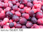 Замороженная клюква  крупный план ягоды. Замороженный продукт для приготовления морсов, киселей, соусов и других блюд. Стоковое фото, фотограф Татьяна Васильева / Фотобанк Лори